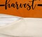 4TH Emotion Fall Pillow Covers 18x18 Set of 4 Thanksgiving Buffalo Check Farmhouse Decorations Orange Pumpkin Outdoor Autumn Farm Truck Pillows Decorative Throw Cushion Case for Home Decor S23F22